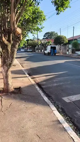 #carro #vectra #vectraclub #carrorebaixado #vectrab #vectraclube_oficial #fyp #madeinfavela🇧🇷 #fixa 