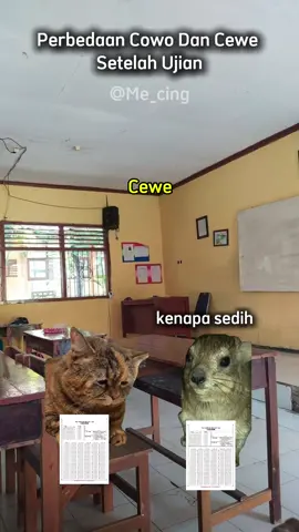 team cowo?🤣 #kucing #fyp #viral #memes 