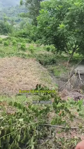 (part10) Akhirnya aku mengaku pada Yoyo. Yoyo begitu baik dan polos. Dia bahkan mengusirku. Aku harus mempersiapkan ulang tahunnya. Semoga sukses. sc: douyin #emosi #shortdrama #dramapendek #gadispegunungan #popular #fyp #CapCut 