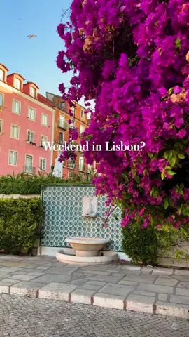 🇵🇹 10 best Things to do in Lisbon ⬇️  Get my FREE Lisbon Travel Guide at kelseyinlondon.com (link in bio) which includes: 📍Places to visit & Top Things to do 🍽️ Best restaurants 🍹 Rooftop bars ☕️ Cozy cafes  🏩 Hotel recommendations 🚋 How to get around 📆 When to visit + a saveable Google Map with all locations pinned 🗺️⁣  Alfama District – Wander through Lisbon’s oldest and most charming neighborhood Sintra Day Trip – Visit the fairytale-like palaces and gardens of Sintra Tram 28 Ride – Scenic journey through Lisbon’s historic streets on the iconic yellow tram LX Factory – Trendy hub for shops, restaurants, and street art Torre de Belém – 16th-century fortification on the Tagus River Miradouro de Santa Catarina – Perfect spot for sunset views over the city Castelo de São Jorge – Explore this medieval castle with panoramic city views Eat a Pastel de Nata from Pastéis de Belém – iconic bakery serving the Famous Portuguese tarts since 1837 National Tile Museum – museum dedicated to the traditional art of azulejos (decorative ceramic tiles) Pink Street – one of Lisbon’s most famous nightlife spots with trendy bars & clubs Video edited with my video filters (link in bio) @presetsbykelsey  ⁣© No reposts - DM for licensing.   🇵🇹 Hidden gems in Lisbon. Must see sights in Lisbon. What to do in Lisbon Portugal. Activities to do in Lisbon.  Stuff to do in Lisbon. Cool places to visit in Lisbon. Best restaurants in Lisbon. Lisbon must see. Lisbon what to do. Hidden gems in Lisbon. Fun activities Lisbon. Best food places in Lisbon. Rooftop restaurants in Lisbon.  Fun things to do in Lisbon. 48 hours in Lisbon. Lisbon itinerary. Weekend in Lisbon