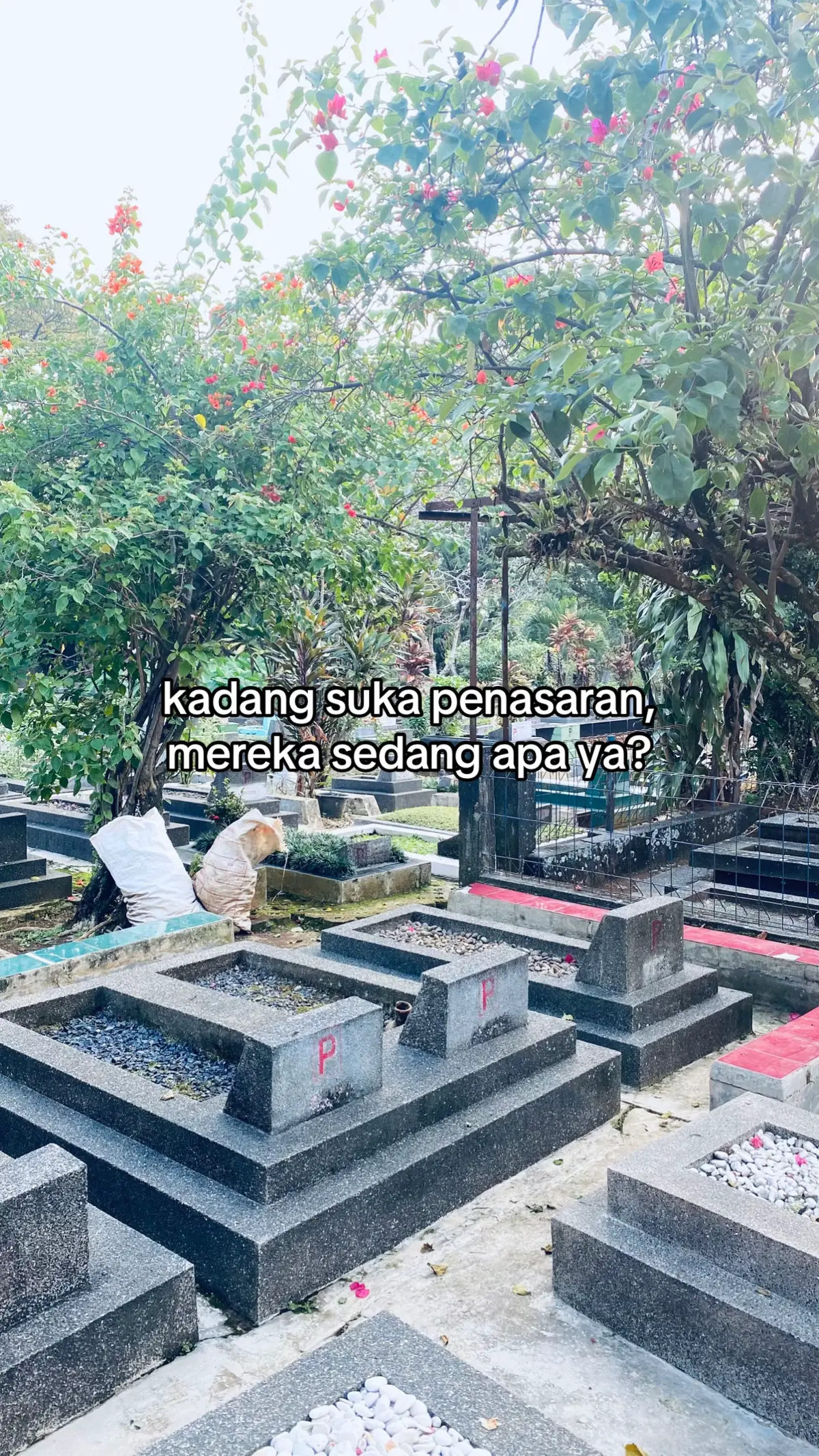#fyp #sadvibes #4u #lasthome #xybca 