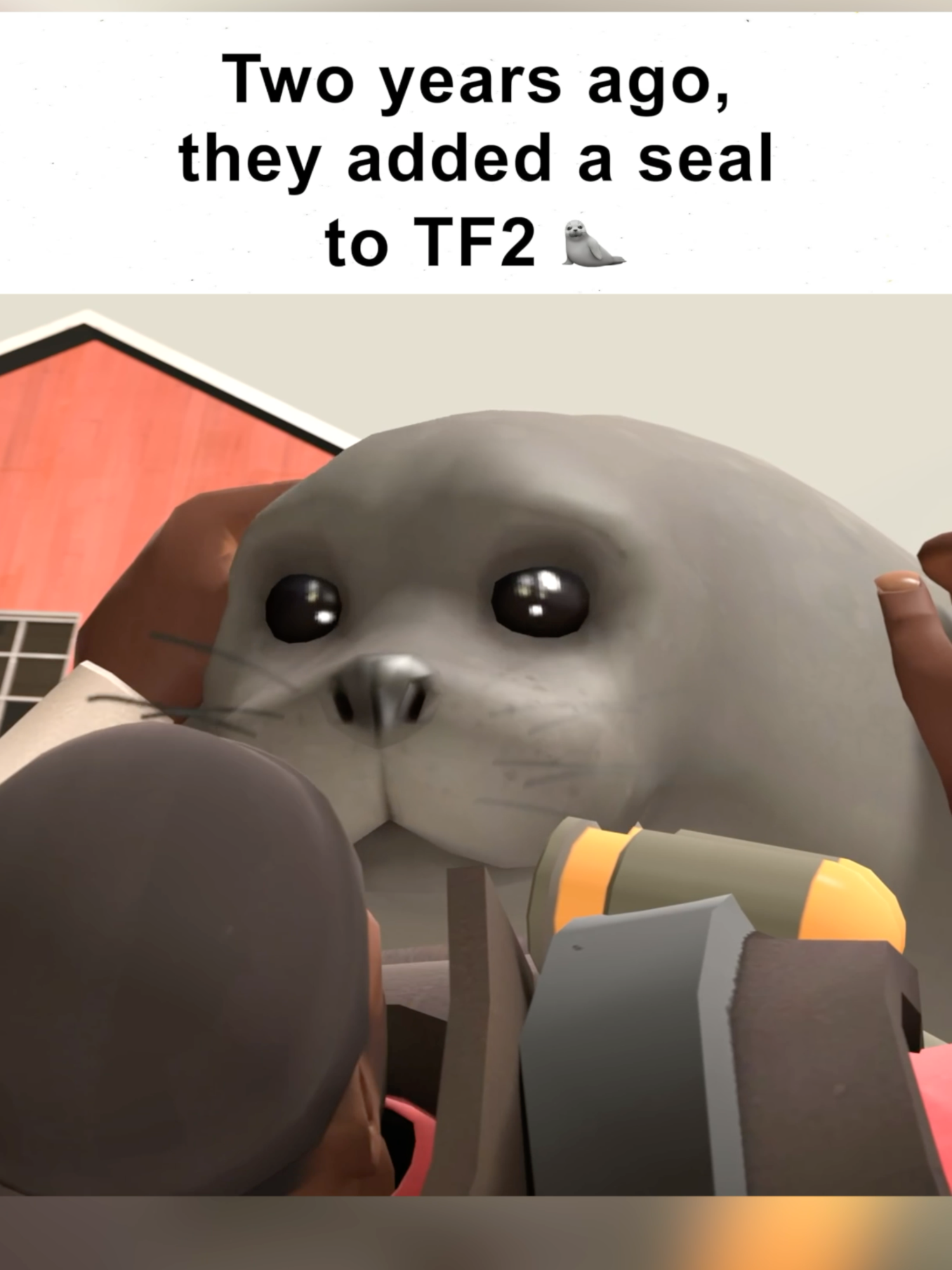 seal anniversary tf2 #teamfortress2 #tf2 #tf2memes #seal