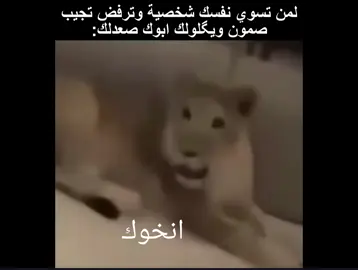 هاي هية اني ادفع فلوس الصمون . . . #foryou #ضحك #الشعب_الصيني_ماله_حل😂😂 #شتبوست #shitposting #ترول #explore 