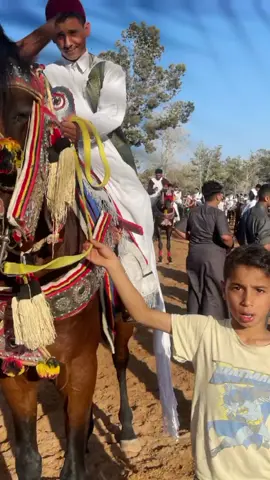 #@رضا الطقاق 📸🐎 #مصراته_الصمود🇱🇾🇱🇾🔥 🔥🔥 عمر 