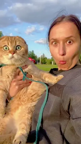 Cats are imitators of their owners #funnyvideos #fyp #foryou #pet #PetsOfTikTok #cat #catsoftiktok #funnycats #kitten #usa🇺🇸 