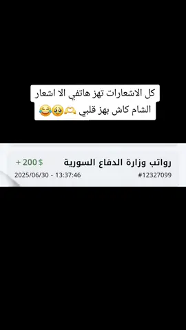 #شام_كاش #اكسبلور #fyp #viralvideo #الشعب_الصيني_ماله_حل😂😂 
