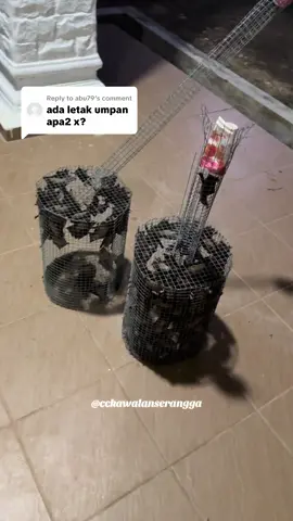 Replying to @abu79 Kami ada letak ubat kelawar, selepas ubat diletakan, kelawar akan keluar sendiri masuk ke perangkap✌️. Kelawar akan akan lepaskan balik ye🥰