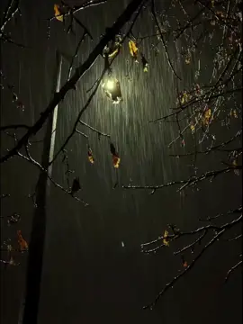 is that you...  #music #song #prettygirl #knight_sounds #knight