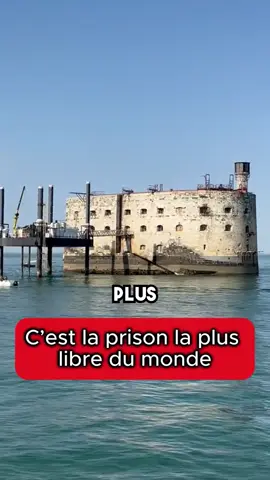 C'est la prison la plus libre du monde #célébrité #star #france #france🇫🇷 #ApprendreSurTikTok #fortboyard 