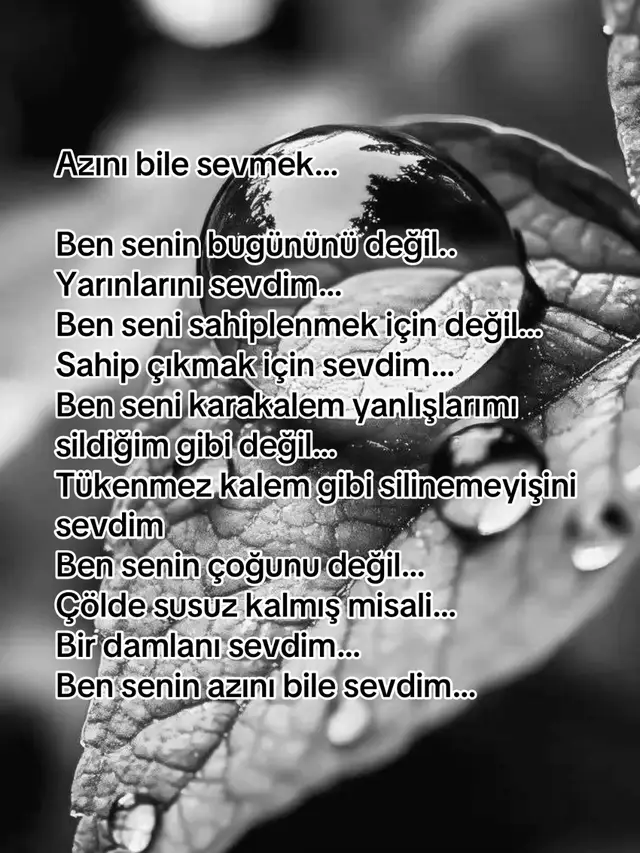 #sevmek #sessizce #çaresizce #şiir 