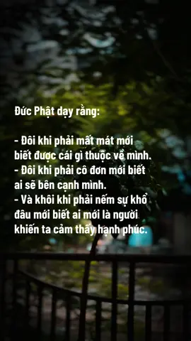 Đôi khi phải mất mát mới biết được cái gì thuộc về mình.#phatphapnhiemmau #xuhuongtiktok #thinhhanh #viralvideo #fyp 