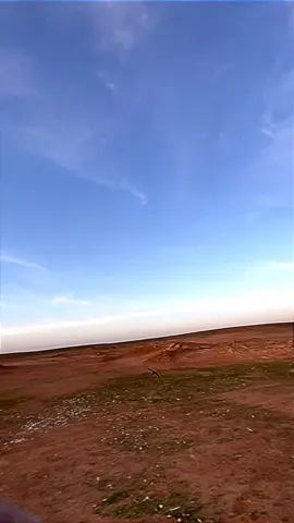 #اكسبلور2025🔥🔥 #تك_توك #الشعب_الصيني_ماله_حل😂😂 #صقاقير #حباري #جمره