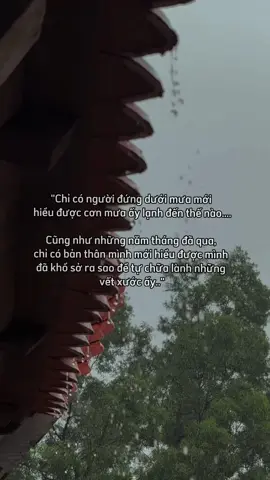 Nam Mô A Di Đà Phật 🙏 #nammoadidaphat #loiphatday #thientamdichua 