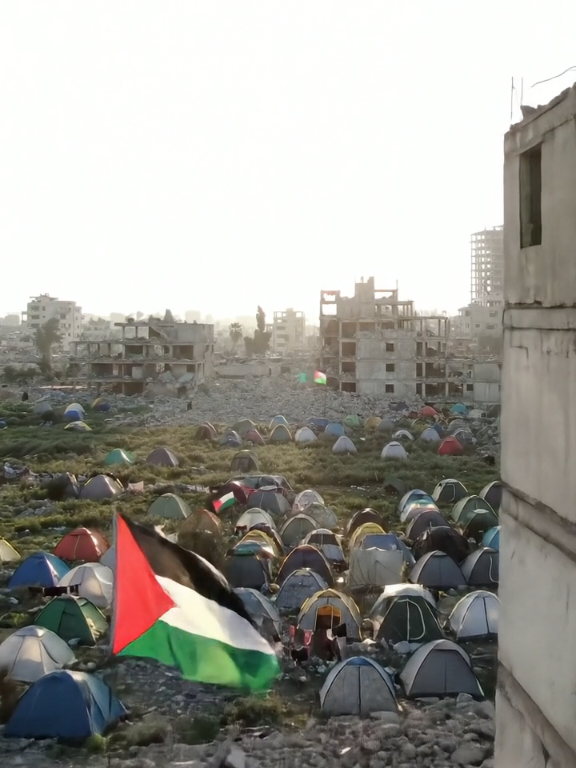 #fypシ゚ #FreePalestine #😭😭😭😭😭☝️☝️☝️☝️🙏🙏🙏🙏🥰🥰❤️❤️ #palstine🇵🇸 #viral 🇵🇸❤️🇵🇸❤️🇵🇸❤️🇵🇸❤️🇵🇸❤️🇵🇸❤️