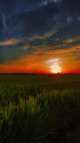 #CapCut Vibe with sunrise . #capcutradio #vibe #sunrise #music 