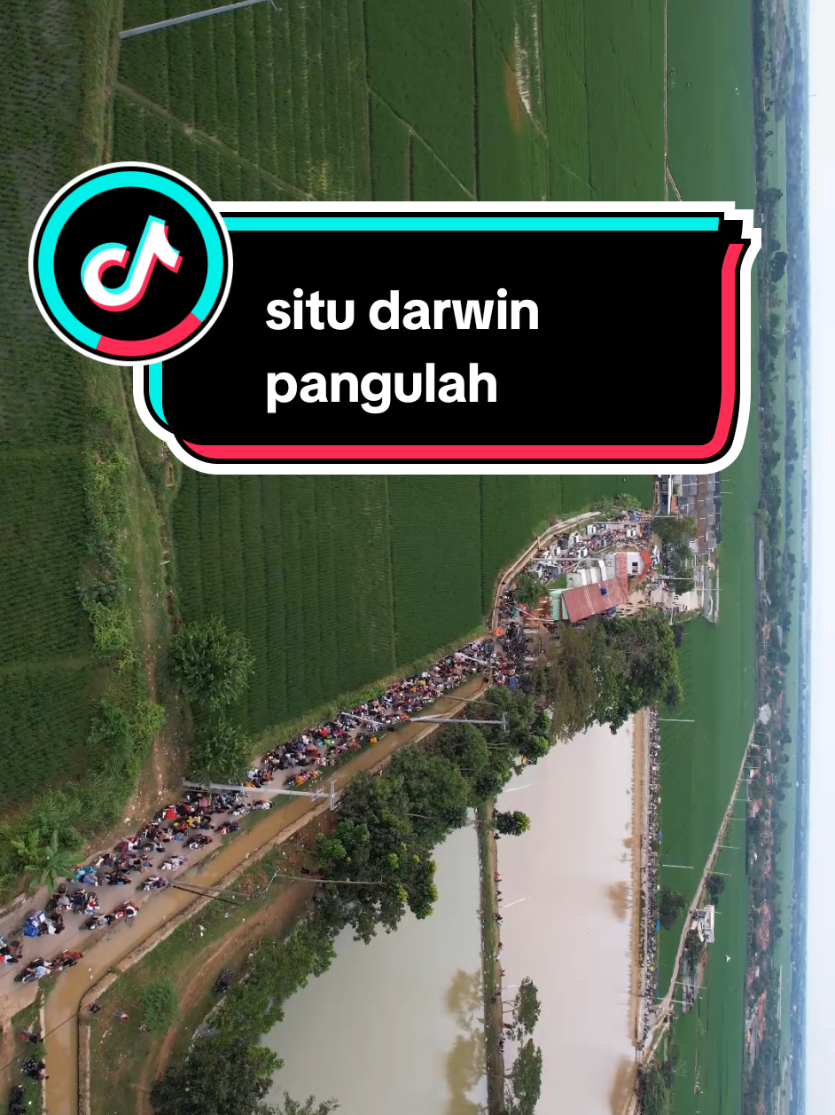 pemandangan sawah hijau sore hari di situ darwin pangulah.#pemandangan #sawah #tempatnongkrong #cikampek 