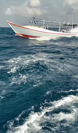 #bugisviral#nelyan#bugustiktok#storybugis#fpy 