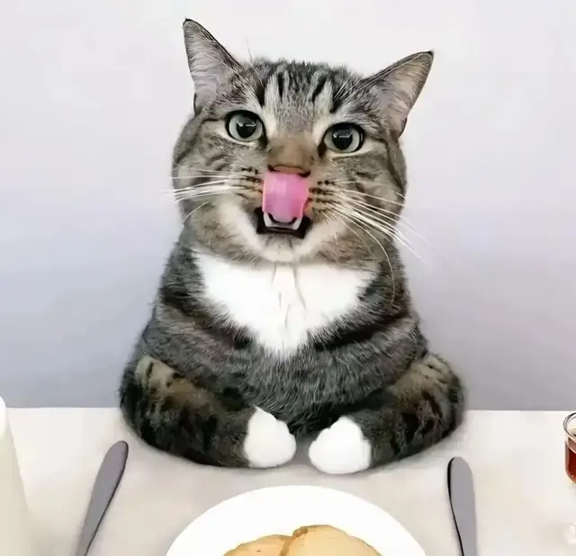 #Ellen #foto  #fyp #fiiiiiiiiiiiiiiiiiiiiiiiiiiiiiiiiiiiiip 