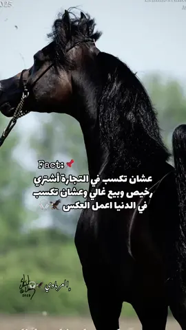 #رضا_البحراوي #عرباوي🦅☕️ #القيصر🦅🎧 #حالات_واتس #أقتباسات_العرباوي🦅🎧 #اللي_هيخيب_هيتعامل_غريب🦅🎧 #القيصر_المحلاوي🕊️☕️ #قيصر_المحلاوي🕊️☕️ #العرباوي #روقان_القيصر🦅🎧 #خيل_عربي_اصيل #الخيل_العربي_الأصيل 