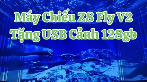 Xuống biển ngắm cảnh bảo sao lạnh thế🙃 #maychieu #maychieubayphong #maychieumini #maychieuminifullhd #maychieu4k #maychieufullphong #maychieudicanh #bayphong #maychieuz8flyv2 #dendicanh #dinhtoi_1996 