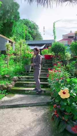 Cuộc Sống An Nhiên Tự tại Không Gì Bó Buộc Hạnh Lan Nhé A Chj 😘