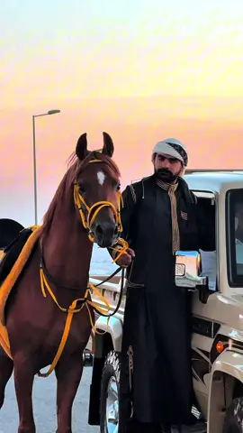 قفلنا الترند القوي  🐎🐎