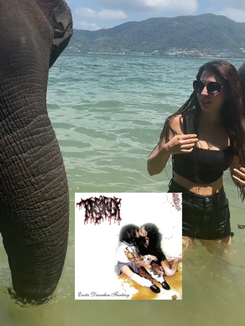 Torsofuck is goated. #goregrind #metalmeme #heavymetal #metal #elephants #album #slammetal #brutaldeathgrind #grindcoreband #grindcoretiktok 