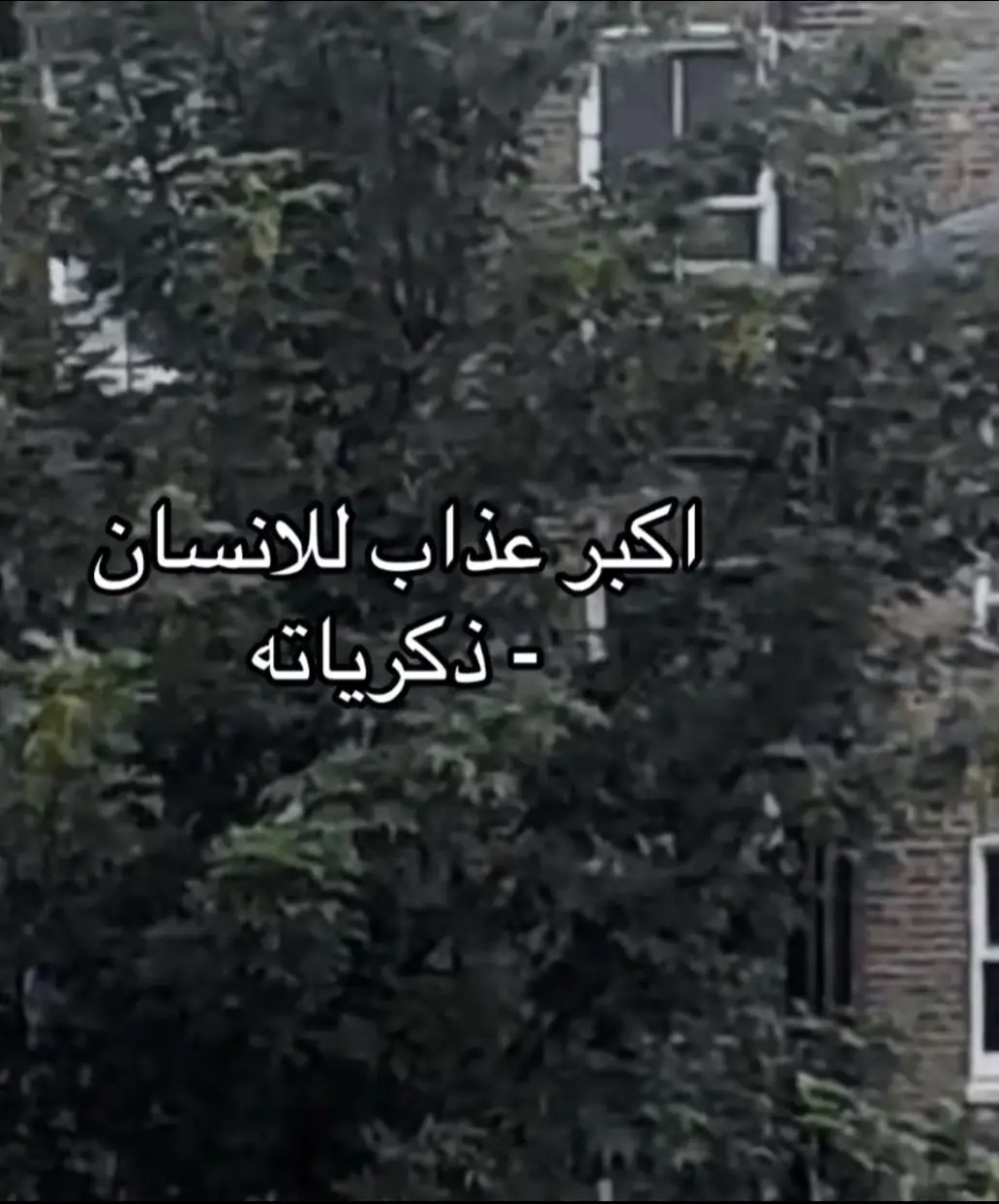 رئيكم بل عباره #عبارات