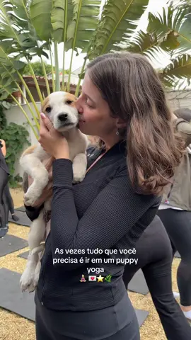 coisa mais linda 🥹🥹🥹 #puppyyoga #yoga #gym #foryou 