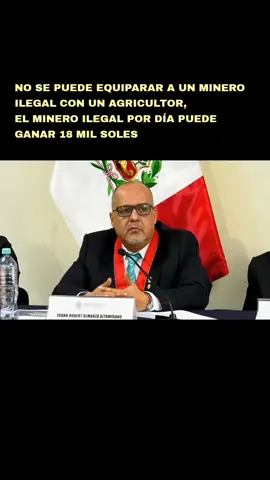 Según el fiscal superior Frank Almanza Altamirano, coordinador nacional de las FEMA, la minería ilegal causa pérdidas anuales superiores a S/ 22 mil millones, equivalentes al 2.5 % del PBI, y está estrechamente ligada a redes de crimen organizado, trata de personas, corrupción y lavado de activos. Entre los vacíos legales más graves se encuentran las prórrogas al Reinfo, la Ley MAPE —que permite un nuevo registro sin controles ni plazos definidos—, y la exclusión de la minería ilegal de la Ley contra el Crimen Organizado debido a penas menores a cinco años. #foryou #peru🇵🇪 #mineria #congresodelperu #poderjudicial 
