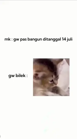 gak kerasa ya... udah berangkat aja🙄 #sekolah #memes #humor #memeindonesia 