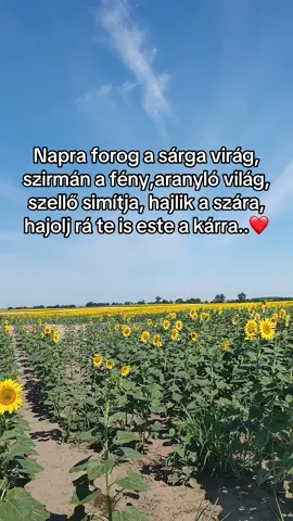 #summertime #lovestory #jeloldmeg❤️ #bazdkiforyouba #nektekbelegyen👌❗💥 
