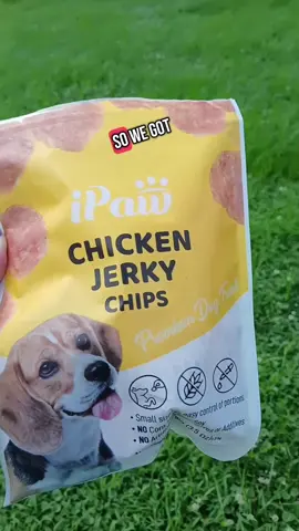 Chicken Jerky Chips!#dogtreats #jerky #dogfood #treats #dogstuff #dogsofttiktok 
