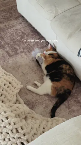 I’ve never seen a cat freak out over a toy like this 😂❤️ #catsoftiktok #cattoys #tiktokshopcreatorpicks #tiktokshopdealsforyoudays 