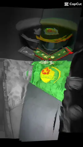 Tiếp sức cho các sĩ tử chuẩn bị tốt nghiệp ngành QLTNR. Về lại việc tại các cơ quan hành chính và cơ quan công lập của Nhà Nước về lĩnh vực Lâm Nghiệp Kiểm Lâm.  #kiemlamvietnam #genzdilam #genz #kiemlam #xuhuong #xuhuongtiktok #congchuc 