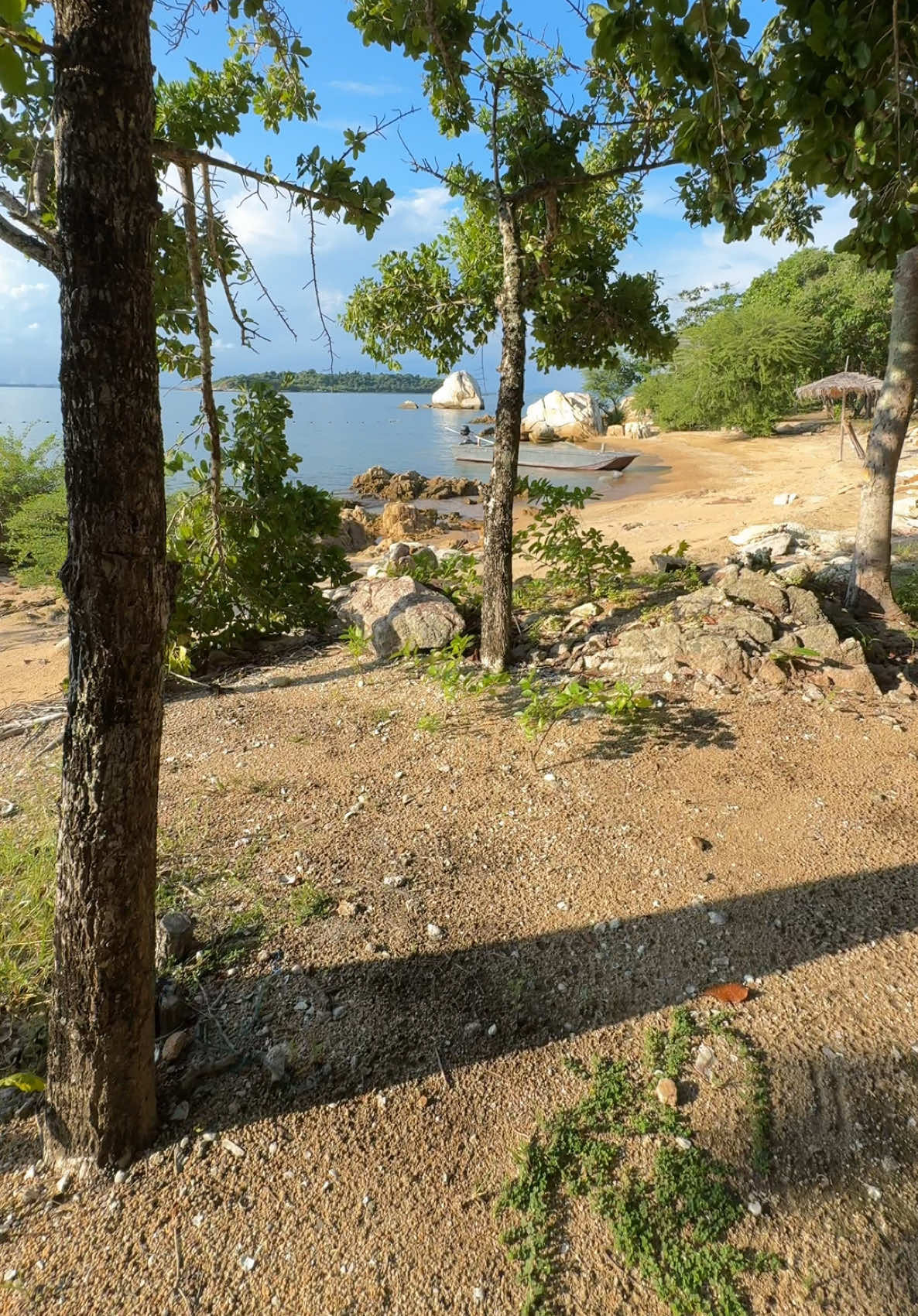 เดินป่า เดินง่าย😆 #คนไทยเป็นคนตลก  #ไผตั๋วกูมาเดินป่า #เดินป่า #ตลก #ขําๆ  #คลายเครียด @🌤️ʜᴀᴘᴘʏᴍᴏʀᴇᴍᴏʀᴇ ม อ ม อ🌛  @🌤️ʜᴀᴘᴘʏᴍᴏʀᴇᴍᴏʀᴇ ม อ ม อ🌛  @🌤️ʜᴀᴘᴘʏᴍᴏʀᴇᴍᴏʀᴇ ม อ ม อ🌛 