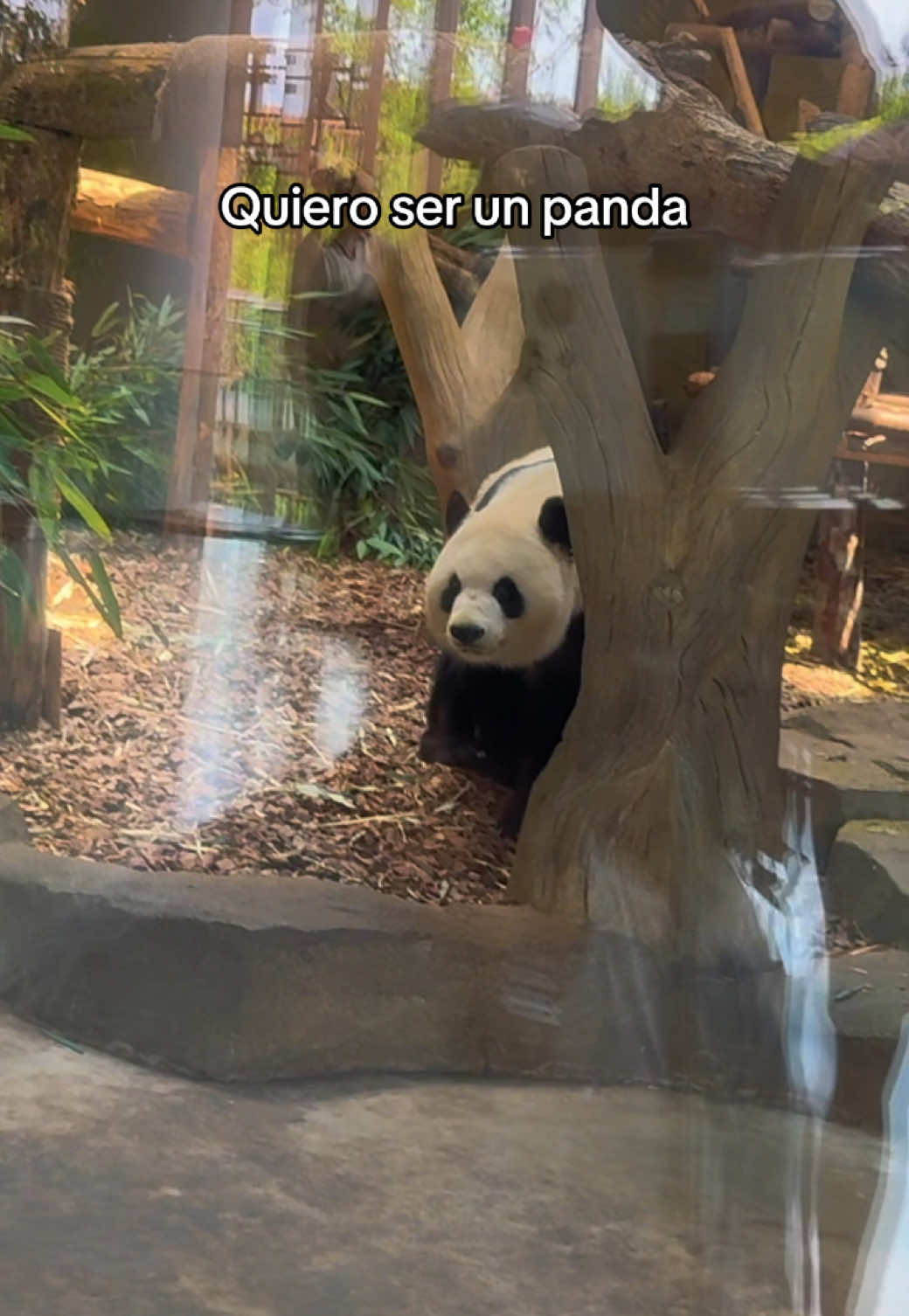 Es metafórico. Pero en serio que vivir siempre preocupado es lo opuesto a dejar que la vida fluya…
