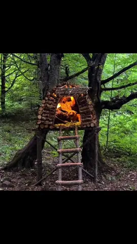 Surviving 5 Days in the Wilderness CRAZY With Dogs and a Tree Shelter Build#build #survivalskills #forest #bushcraft #shelter #survival #camping 