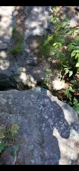 #mountainvibes #foryou #adrenaline #Outdoors #living 