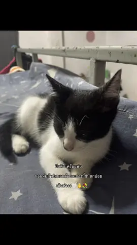 #แอบรัก #ฟีดด #ฟีดดดดดดดดดดดดดดดดดดดดดดดดดดด #เธรดคลั่งรัก #รัก #แฟน #แฟนน่ารัก #🤍 #💐 #🫰