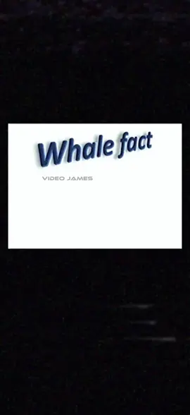 What a whale of a fact    🎵level complete - sonic 3 ost  🎵ice zone - Ecco the dolphin (piano by Innas World)  #fyp #fypシ #meme #fact #voiceover #voiceactor #memes #relatable #mood #asmr #vibes #real #vo #va #whale #big #cool 