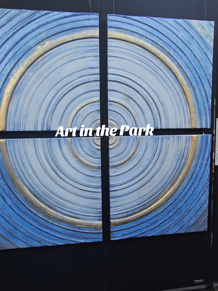 There are so many vendors at Art in the Park this year! Definitely go check it out if you're in the Plymouth area!  #plymouthmichigan #thingstodoinmichigan #summertimefun #michigan #michigancontentcreator 