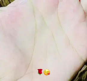 #fyp #❤️ 