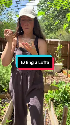 Eating a luffa! #PlantTok #TikTokLearningCampaign 