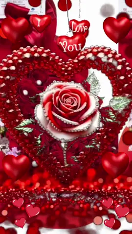 ❤️❤️⚘️⚘️#parati 