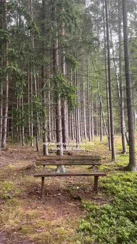 rainy days in the forest #nature #Outdoors #lordhuron 