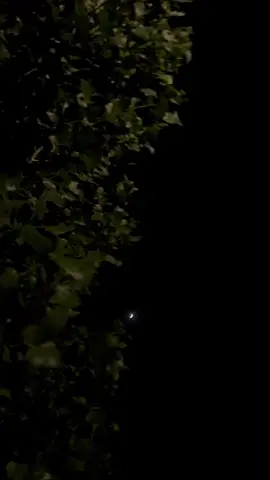 والحزن أيضًا لهُ قداسة أن لا يُقال لأي عابرٍ 🖤 #اقتباسات_عبارات_خواطر #عبارات #عباراتكم 