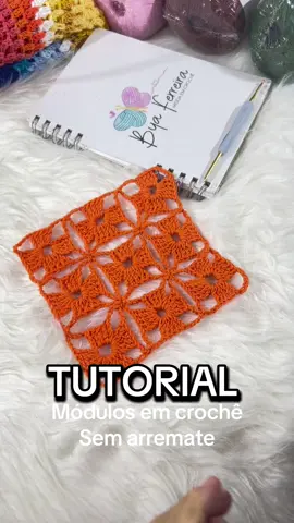 Vamos aprender a fazer esse padrão de ponto em crochê, onde os módulos são feitos de forma contínua, sem arremate #crochetlovers #crochettiktok #crochetersoftiktok #crochettutorial 