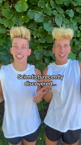 da discovery 