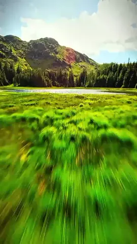 وصل المقطع 13000 مشاهدة وإلى الآن لم يتابع القناة سوا 7 verse in quran القران الكريم بصوت الشيخ ياسر الدوسري  . الببغاء الابيض في المقبرة  قصص دينية مؤثرة #عبيدةـلطيف 